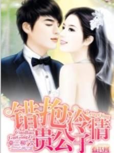 錯抱冷情貴公子 錯抱冷情貴公子