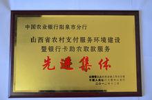 山西農村支付服務環境建設先進集體