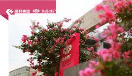 西安紫薇地產開發有限公司 西安紫薇地產開發有限公司