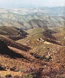 科西嘉行政區 科西嘉行政區