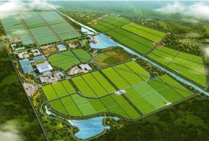 現代農業科技園