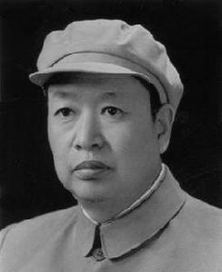 趙鵬飛[最高人民檢察院原黨組成員]