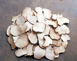 阿膠四苓散[阿膠四苓散]