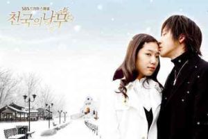 天國的樹 天國的樹