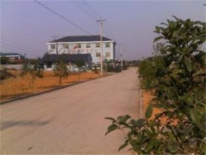 石波潭村 石波潭村