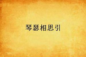 琴瑟相思引 琴瑟相思引