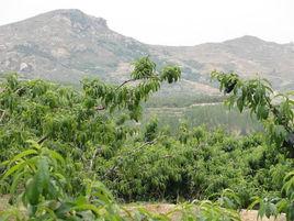 龍王峪村 龍王峪村