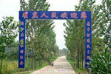 翟莊村[河南省新野縣沙堰鎮下轄村]