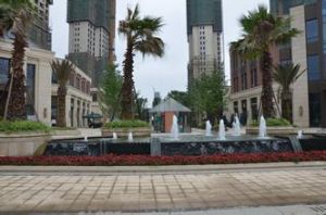 梅溪湖綜合開發管委會 梅溪湖綜合開發管委會