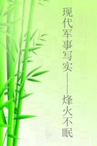 現代軍事寫實——烽火不眠 現代軍事寫實——烽火不眠