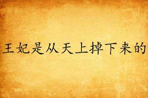 王妃是從天上掉下來的