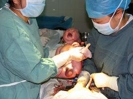 婦產科[醫學學科]