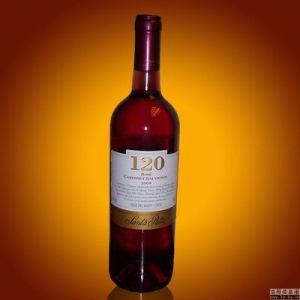 加本內·頌維翁