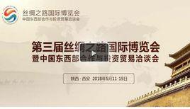 第三屆絲綢之路國際博覽會 第三屆絲綢之路國際博覽會