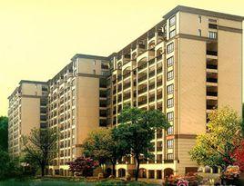 勁嘉金棕櫚灣 勁嘉金棕櫚灣