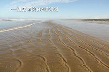 紐西蘭北島一望無際的90哩海灘