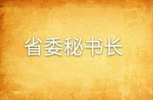 省委秘書長[小說]