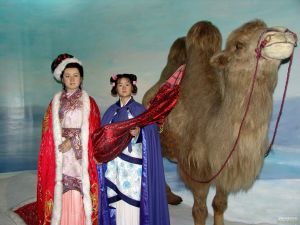 《王昭君辭》 《王昭君辭》