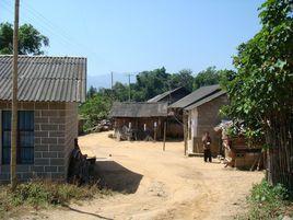 新安寨村 新安寨村