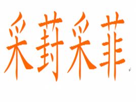 采葑采菲 采葑采菲