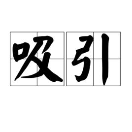 吸引[漢語詞語]