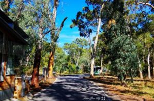 貝萊爾國家公園 貝萊爾國家公園