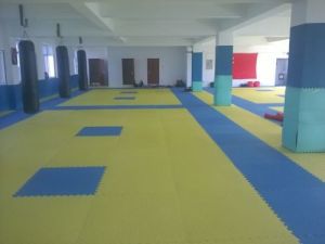 延吉市綜合格鬥俱樂部