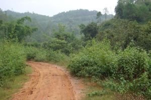 老灣箐自然村 老灣箐自然村