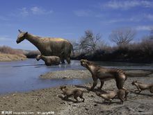 電腦復原後的巨犀