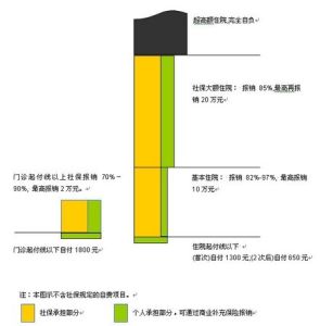 醫保甲類 醫保甲類