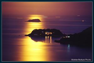 清水灣郊野公園