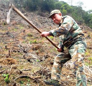 余貴順綠化植樹
