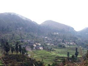 黃連沖村 黃連沖村