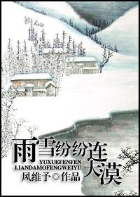 雨雪紛紛連大漠 雨雪紛紛連大漠