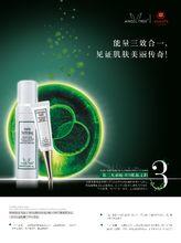 第三大系統：BIO細胞再生工程