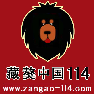 藏獒中國114網