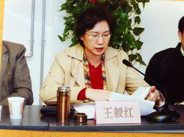 王毅紅 王毅紅