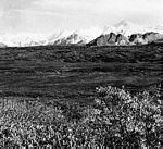 阿拉斯加山脈一景