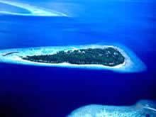 神仙珊瑚島