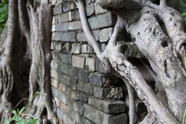 丁屋古圍牆 丁屋古圍牆