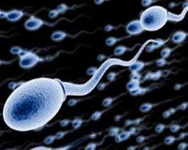 生精能力 生精能力