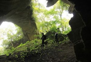 洞壁琴音 洞壁琴音