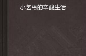 小乞丐的辛酸生活 小乞丐的辛酸生活