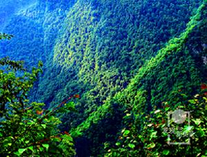 馬鞍山自然保護區