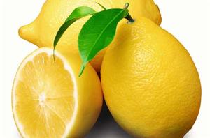 lemon[芸香科柑橘屬植物]