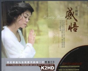 毛阿敏:感悟 毛阿敏:感悟