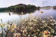 興隆鄉[安徽省旌德縣興隆鄉]