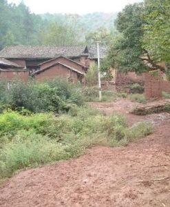 小竹箐村 小竹箐村