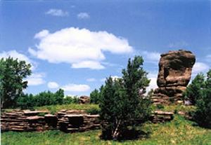 黃崗梁國家森林公園