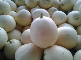 鬱金香甜瓜 鬱金香甜瓜